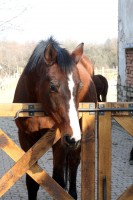 /album/jsoceanwind/img-0010-jpg/