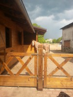 /album/jsoceanwind/a20140424-151344-jpg/