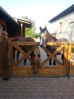 /album/jsoceanwind/a20140423-182620-jpg/