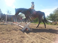 /album/jsoceanwind/a20140512-160848-jpg/